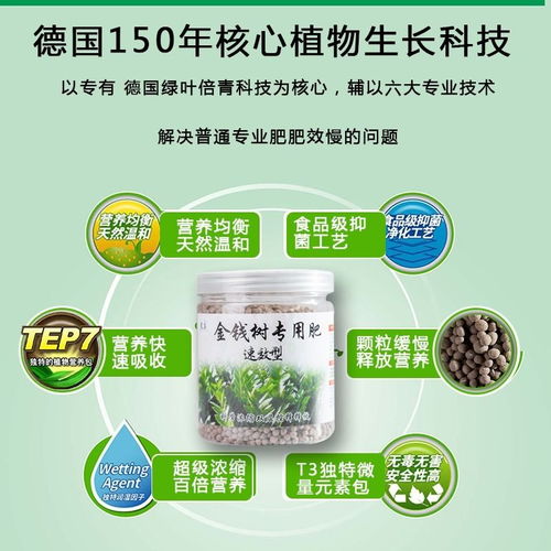 <  有錢活的旺｜金錢樹幸福樹的隱形專肥 ，你不能亂來！>